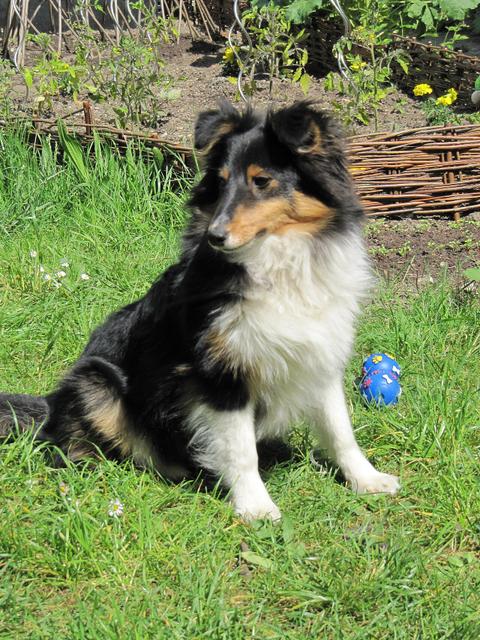 Storm – S-kuldet