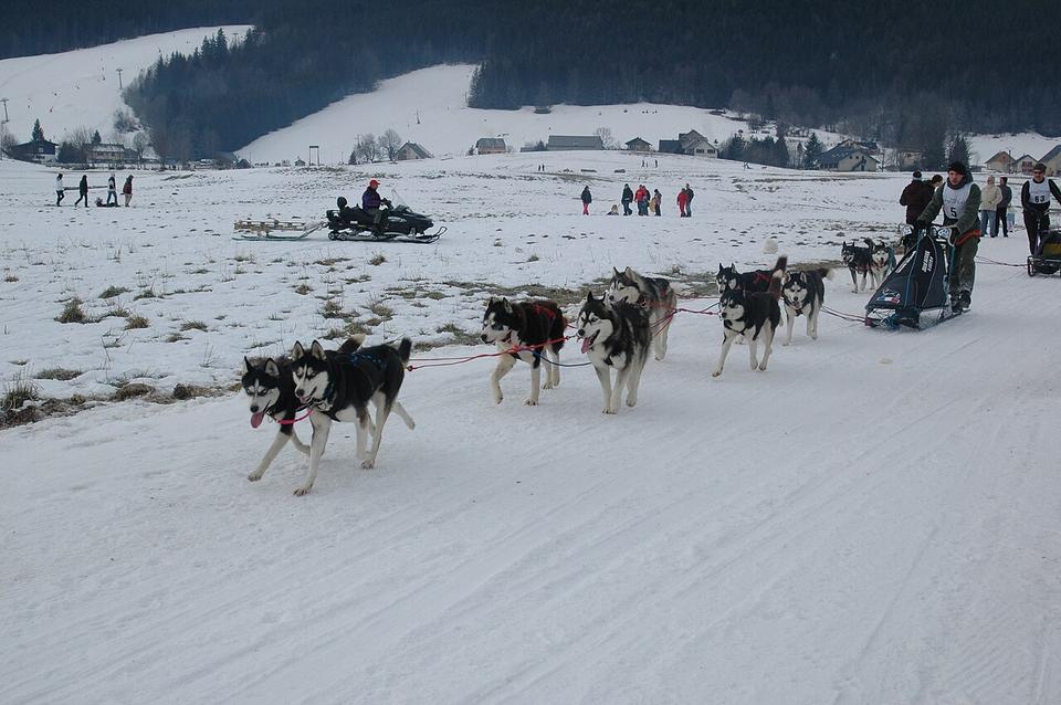 Flot resultat til Koda